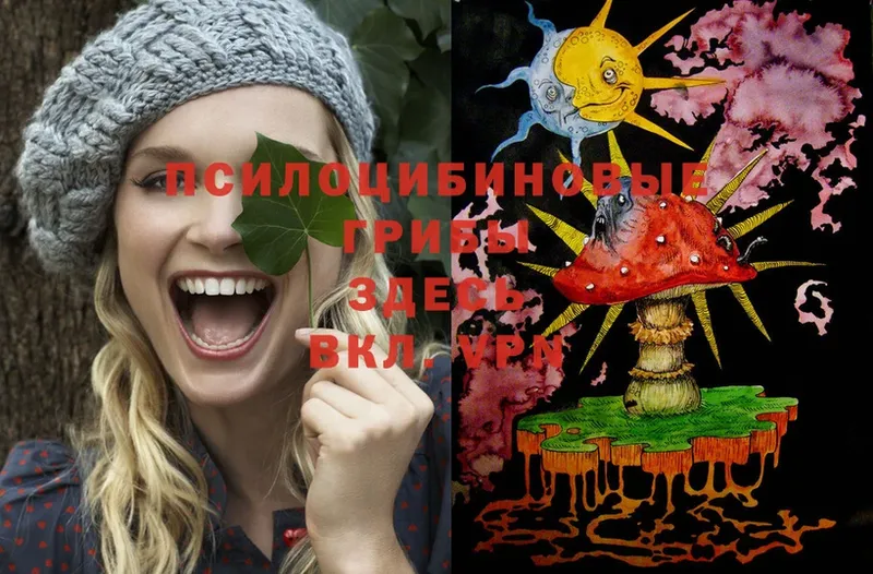 Галлюциногенные грибы MAGIC MUSHROOMS  Бабаево 